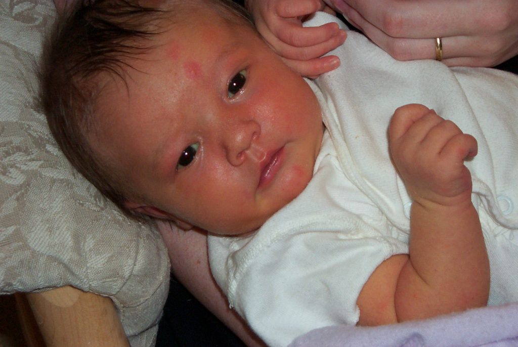 closeup of Jenya, 8 days old